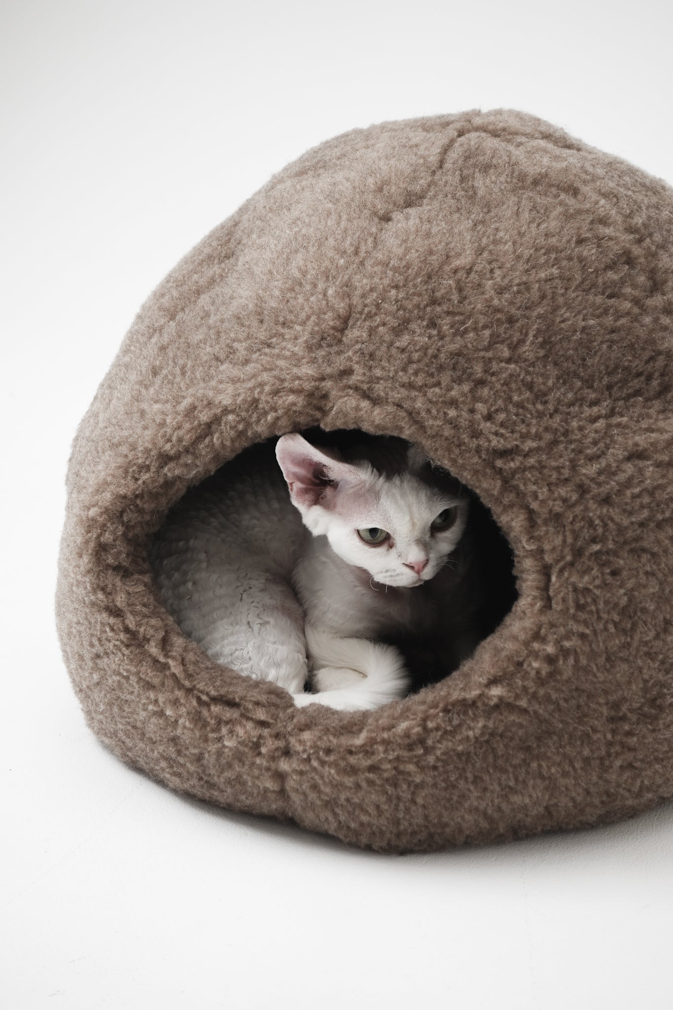 Cat lying inside a brown pet bed on a white background  | Natural, non‑toxic pet nest for cats and small dogs | Cozy, handmade pet furniture

