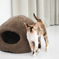 Cat standing next to a brown sheepskin pet bed on a white floor with light gray curtains in the background. | Natural, non‑toxic pet nest for cats and small dogs | Cozy, handmade pet furniture, natural wool and sheepskin

