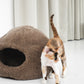 Cat standing next to a brown cat bed on a white floor with light gray curtains in the background | Natural, non‑toxic pet nest for cats and small dogs | Cozy, handmade pet furniture, natural wool and sheepskin

