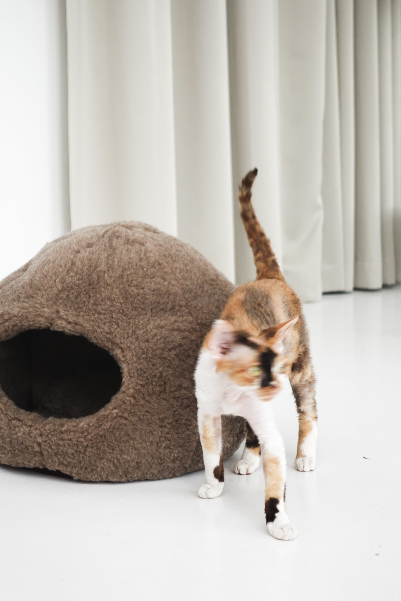 Cat standing next to a brown cat bed on a white floor with light gray curtains in the background | Natural, non‑toxic pet nest for cats and small dogs | Cozy, handmade pet furniture, natural wool and sheepskin

