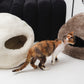 Cat exploring two cat beds, one white and one brown, on a light-colored floor. | Natural, non‑toxic pet nest for cats and small dogs | Cozy, handmade pet furniture, natural wool and sheepskin

