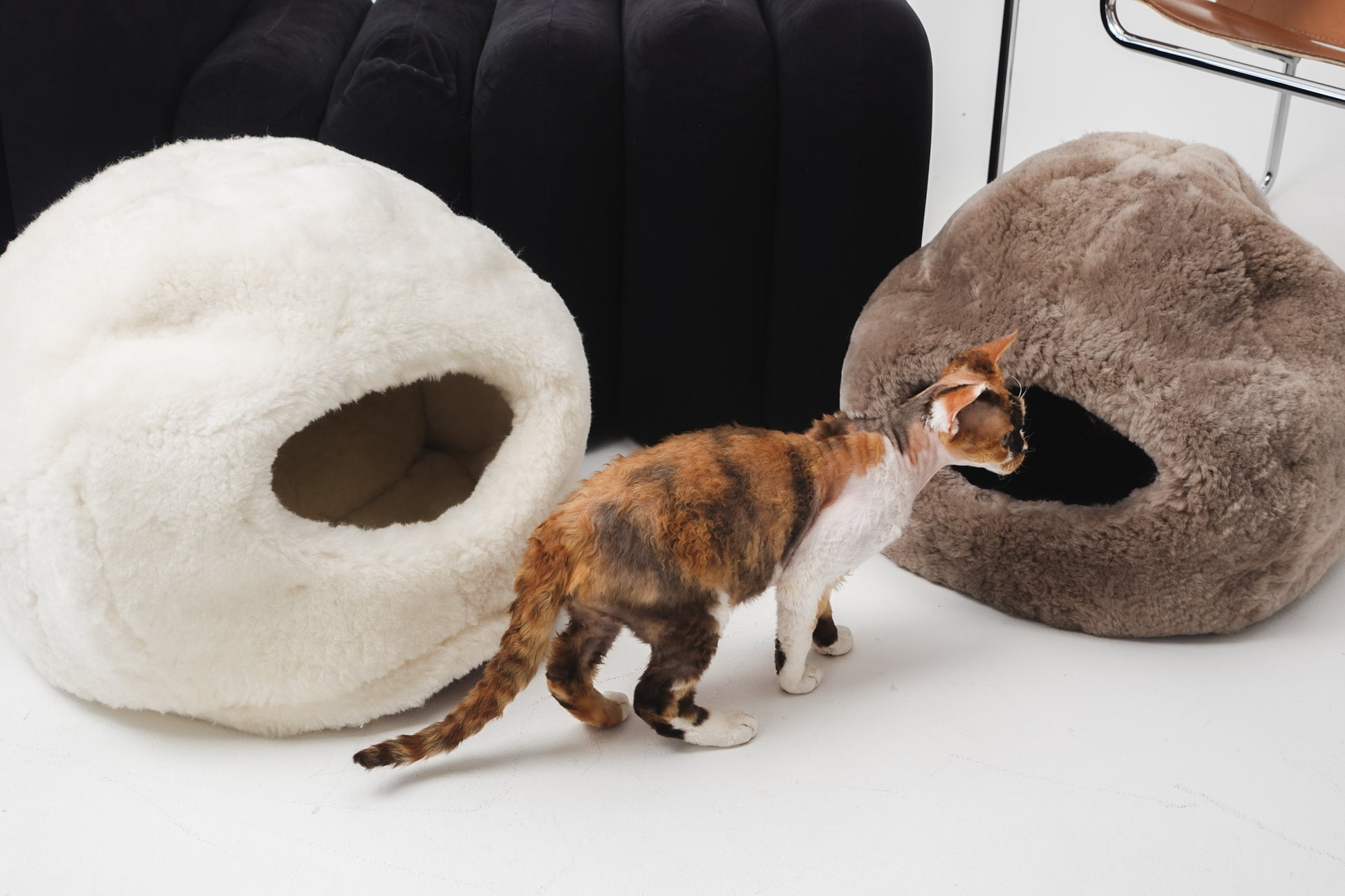 Cat exploring two cat beds, one white and one brown, on a light-colored floor. | Natural, non‑toxic pet nest for cats and small dogs | Cozy, handmade pet furniture, natural wool and sheepskin

