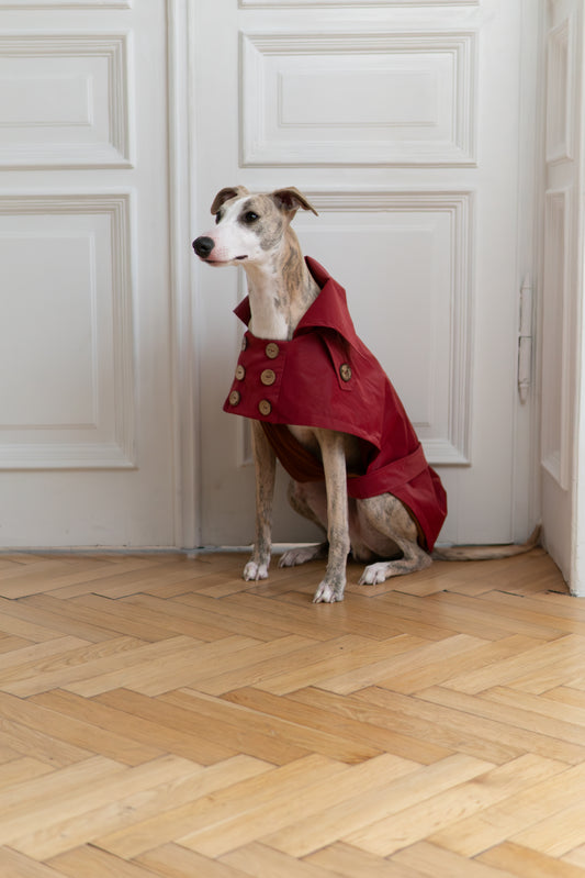 Water repellent Dog Trench Burgundy Red Coat 
