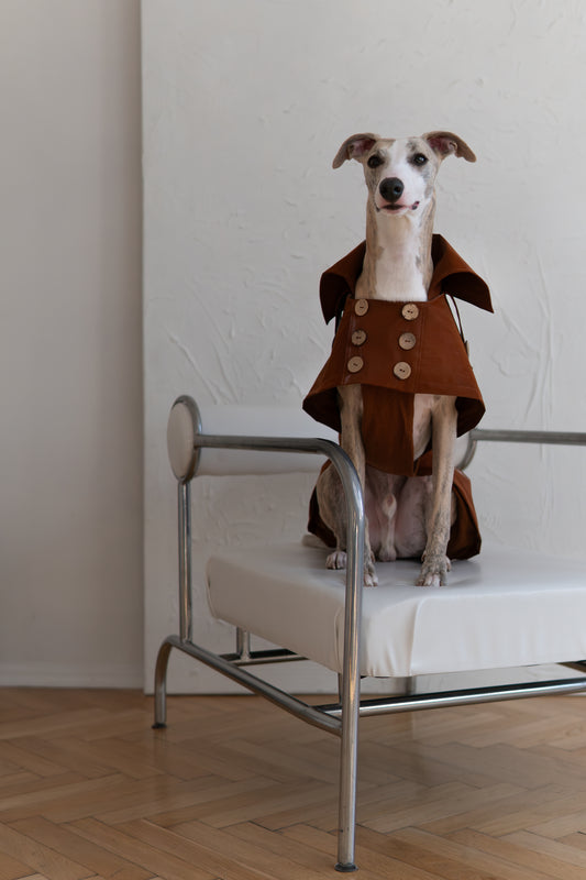 Water repellent Dog Trench Chocolate Brown Coat 