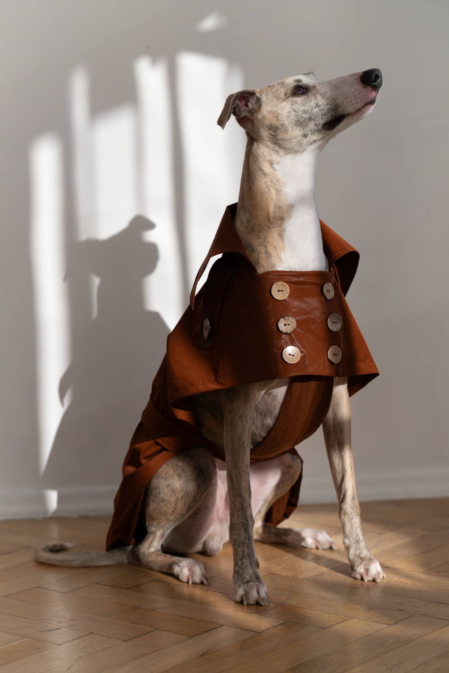 Water repellent Dog Trench Chocolate Brown Coat 