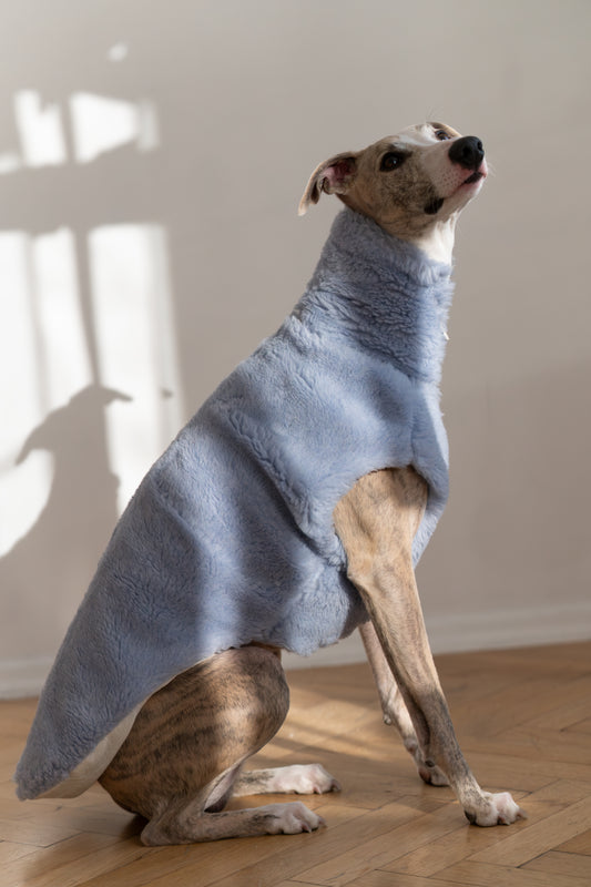 Woolen Dog Blue Vest 