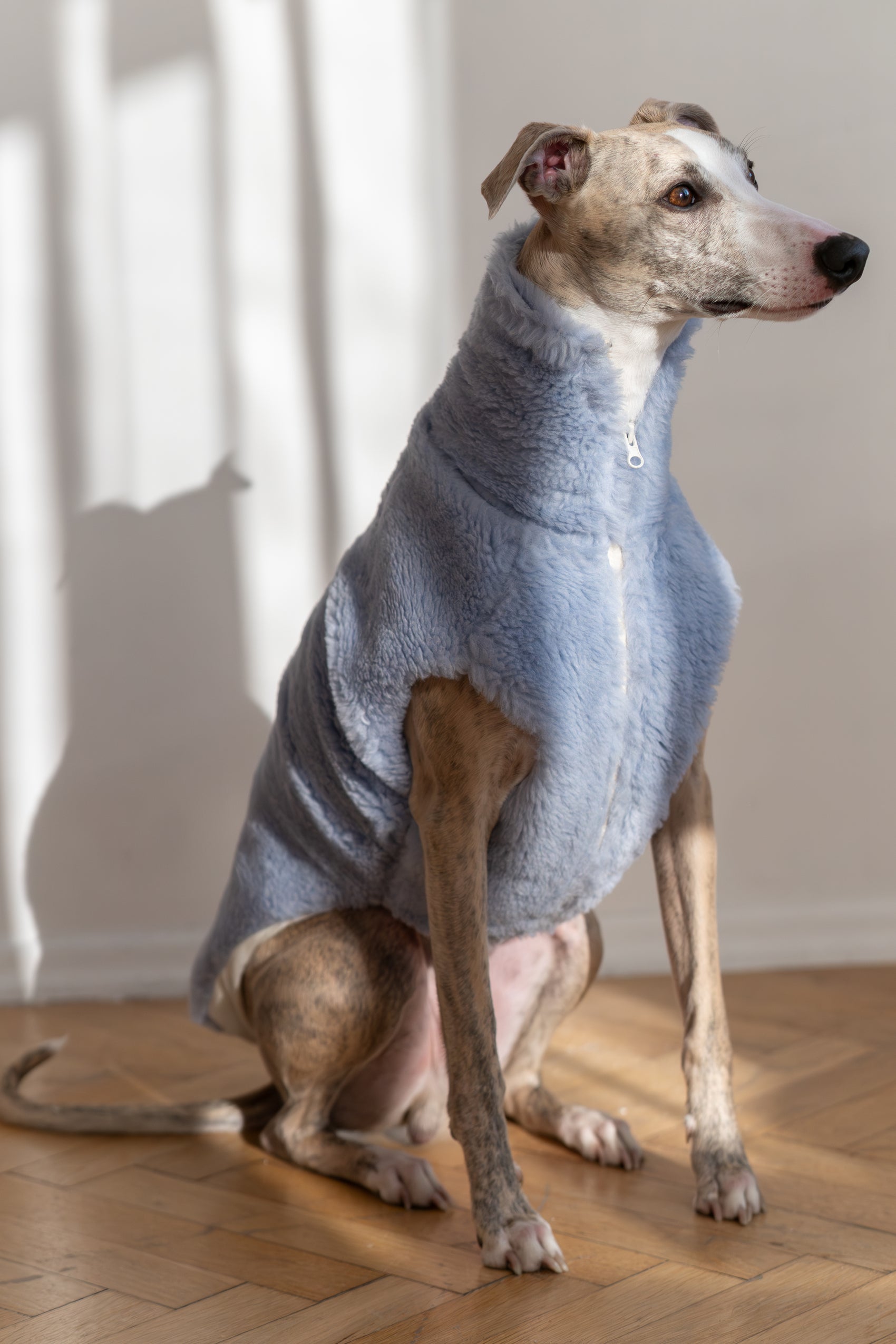 Woolen Dog Blue Vest 