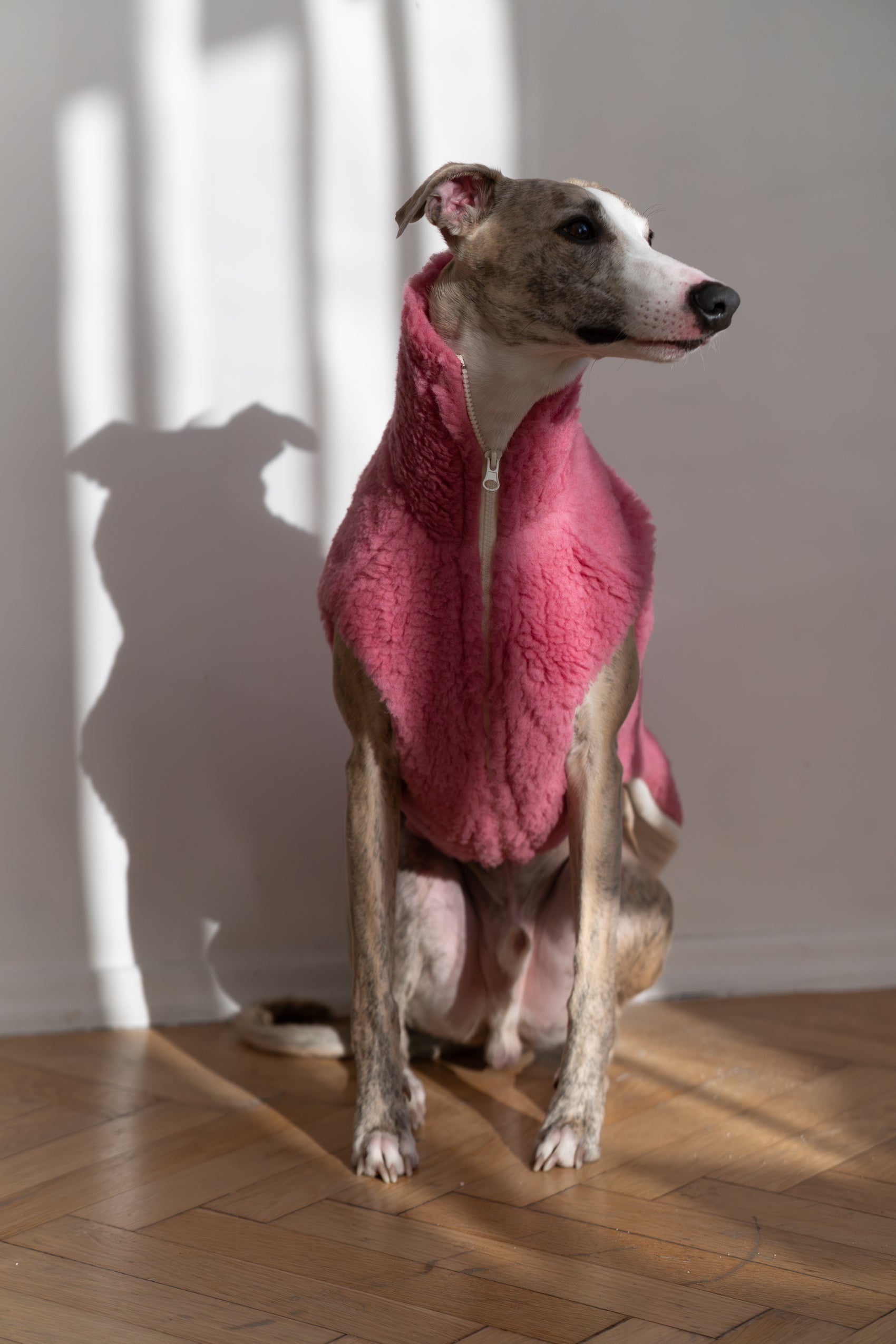 Woolen Dog Pink Vest  