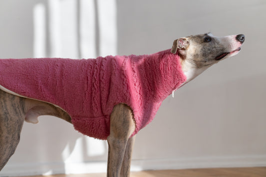 Woolen Dog Pink Vest  