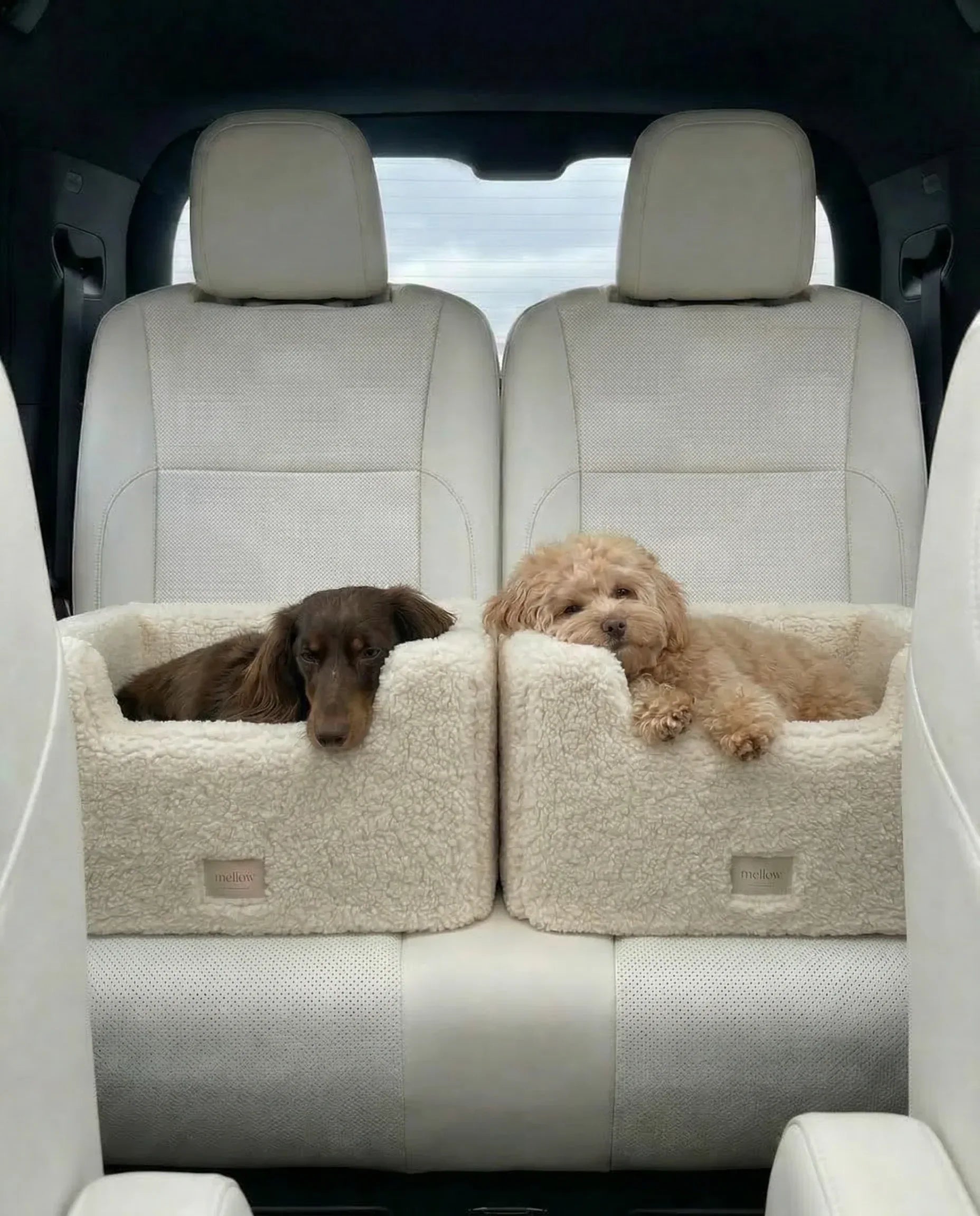 Natural Wool Dog Carrier - Beige - MellowConceptStore