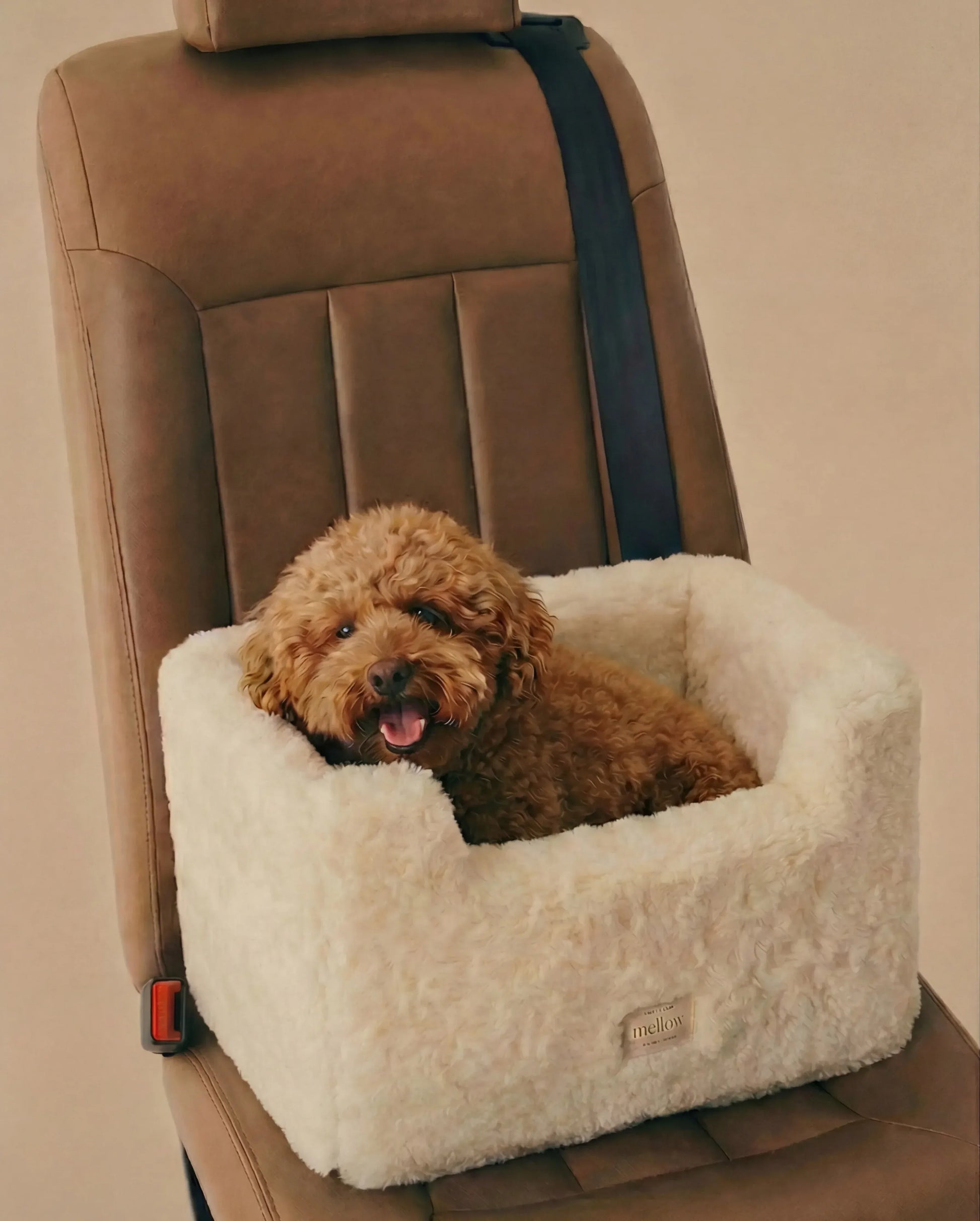 Natural Wool Dog Carrier - Beige - MellowConceptStore