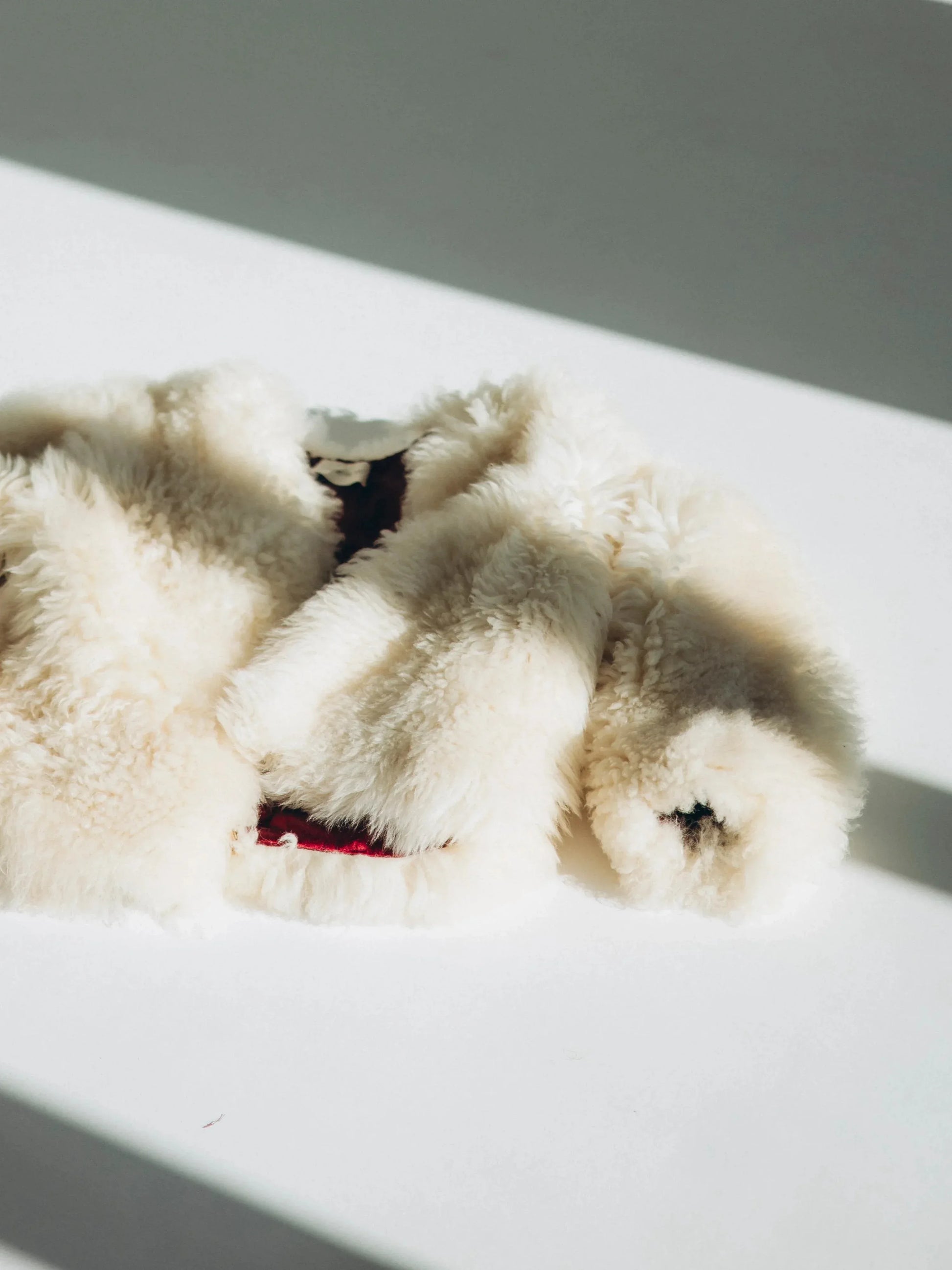 Sheepskin Fur / Coat with Burgundy Silk Lining - White - MellowConceptStore
