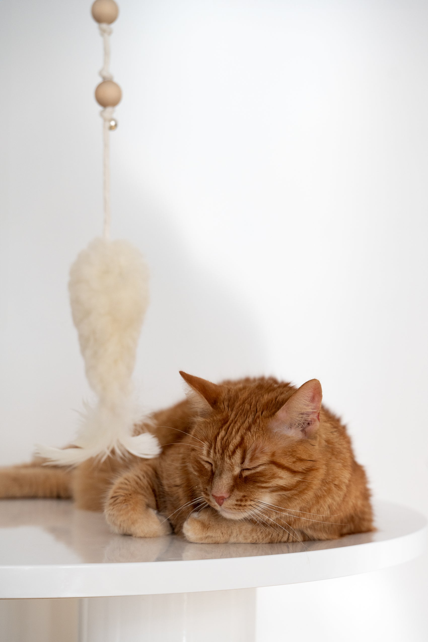 Natural Woolen Cat Toy Fish