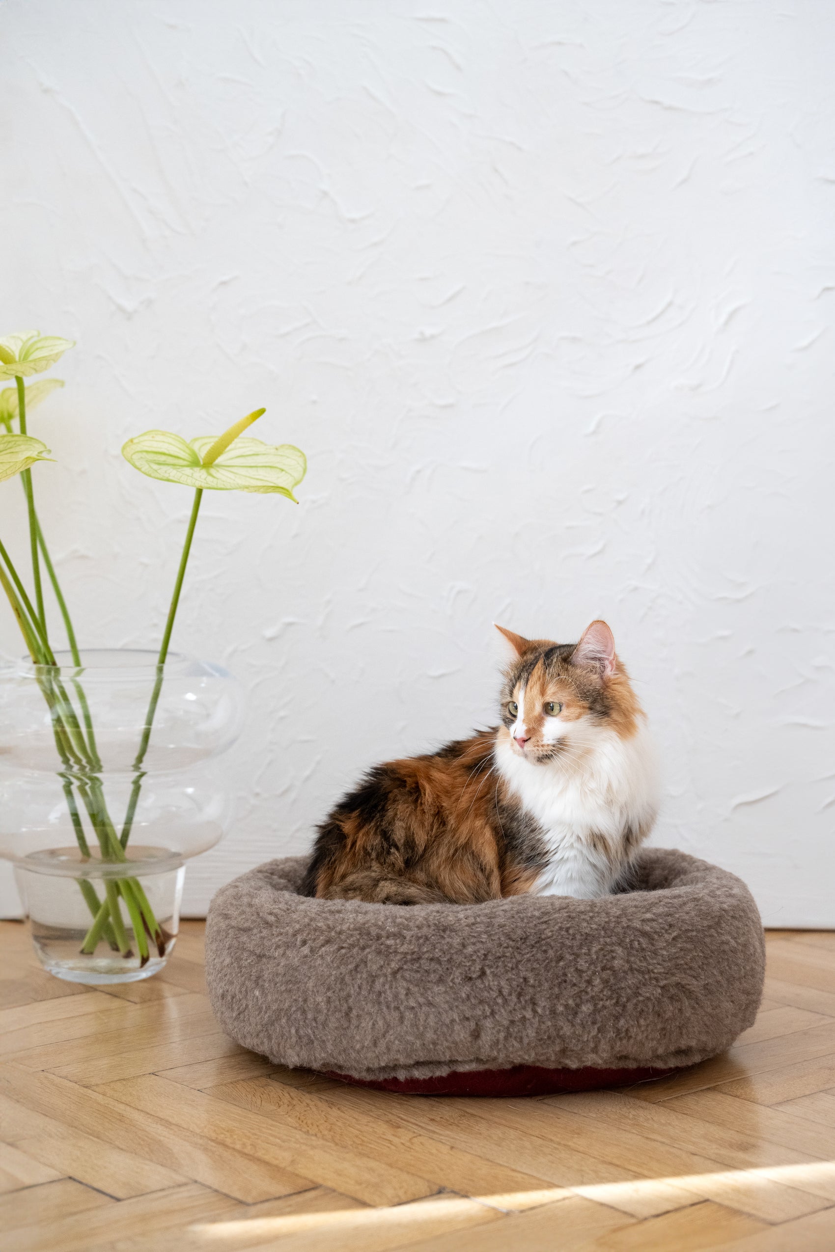 Round Natural Wool Pet Bed Beige