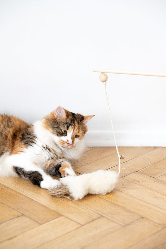 Natural Woolen Cat Toy Fish