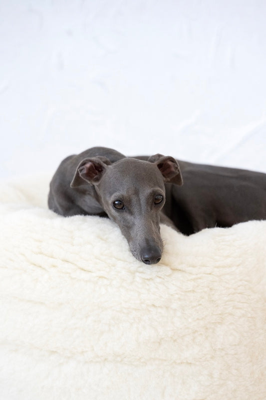 Oval Natural White Wool Pet Bed  