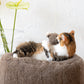 Oval Natural Wool Pet Bed  Beige