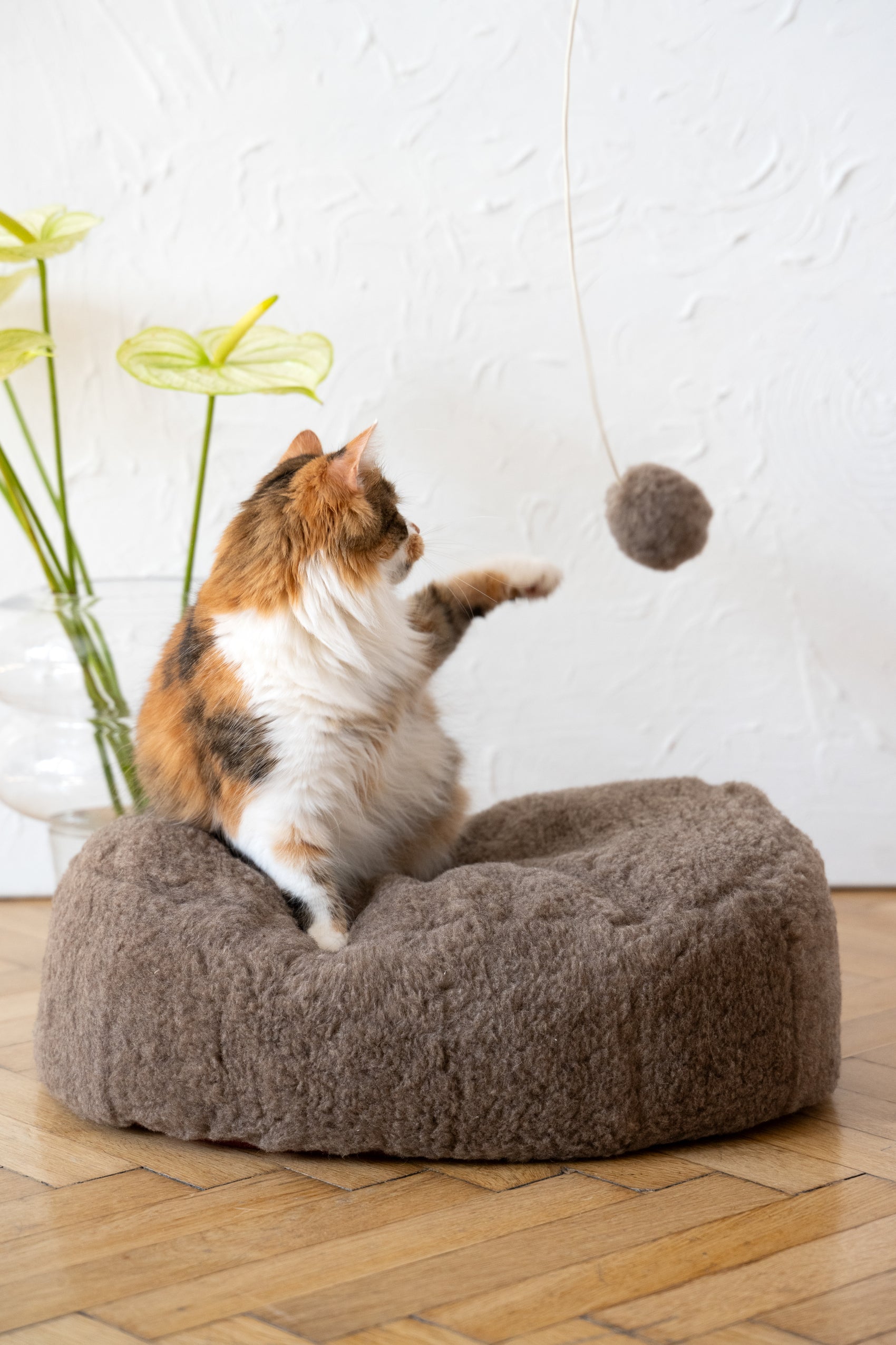 Oval Natural Wool Pet Bed  Beige