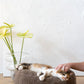 Oval Natural Wool Pet Bed  Beige
