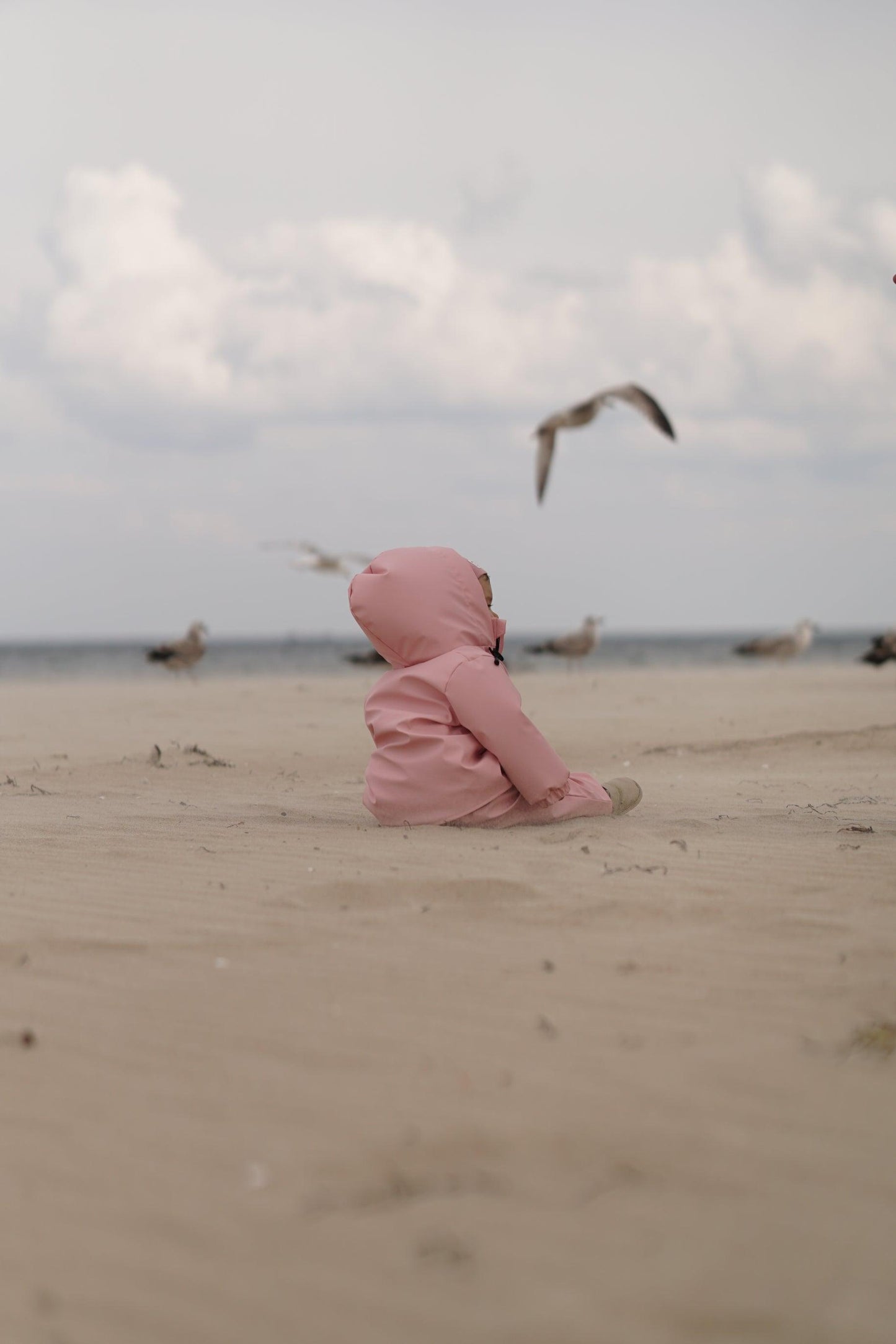 A child in the MellowConceptStore Waterproof Baby/Kid Clothing Set - Rosa sits alone on a sandy beach, gazing at a seagull flying by, with more seagulls and a cloudy sky in the background.
