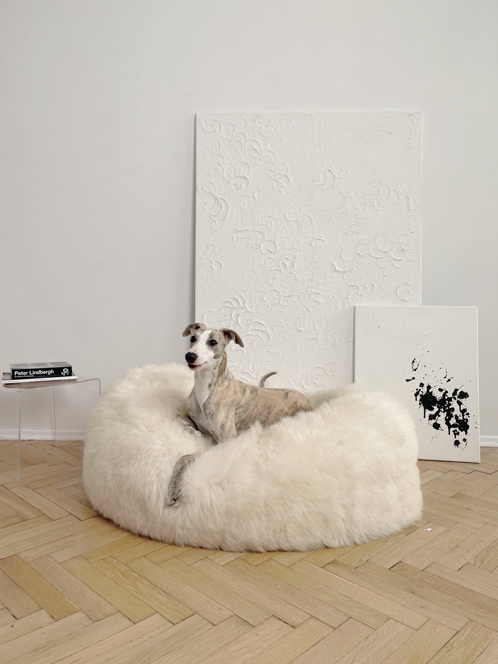Natürliche Hundebetten für ein echtes Leben